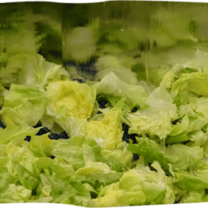 Valnantais Conditionnement - Nettoyage de la salade