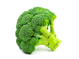 Le Brocoli