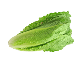 La Romaine