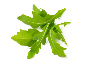 La Roquette